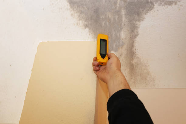Best Mold Odor Removal Services  in Dravosburg, PA