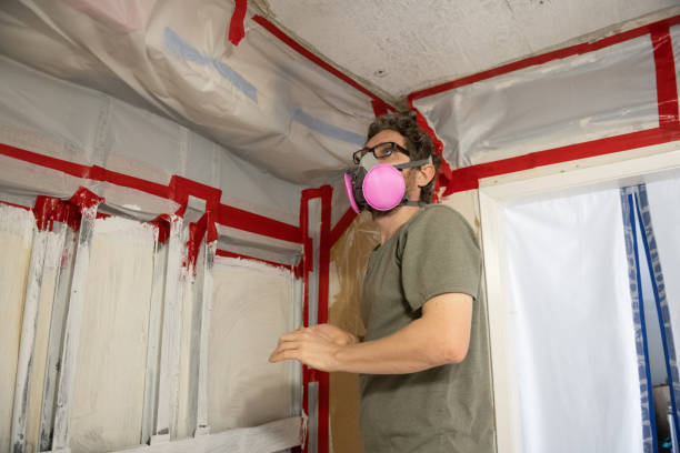 Best Basement Mold Removal  in Dravosburg, PA