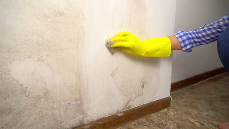 Best Forensic Mold Investigation  in Dravosburg, PA