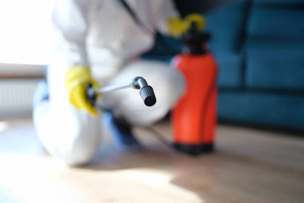 Best Mold Removal for HVAC Installations  in Dravosburg, PA
