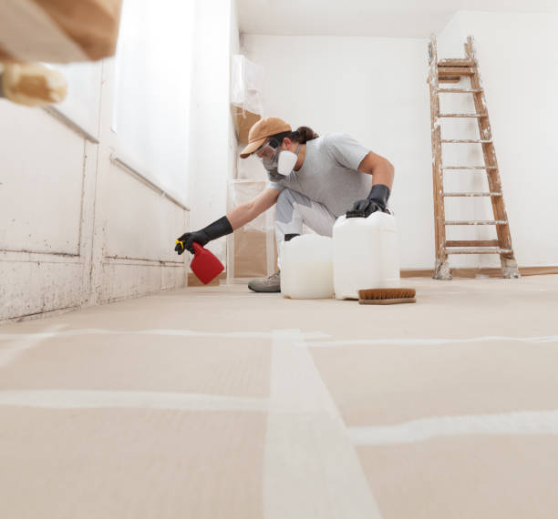 Best Emergency Mold Remediation  in Dravosburg, PA