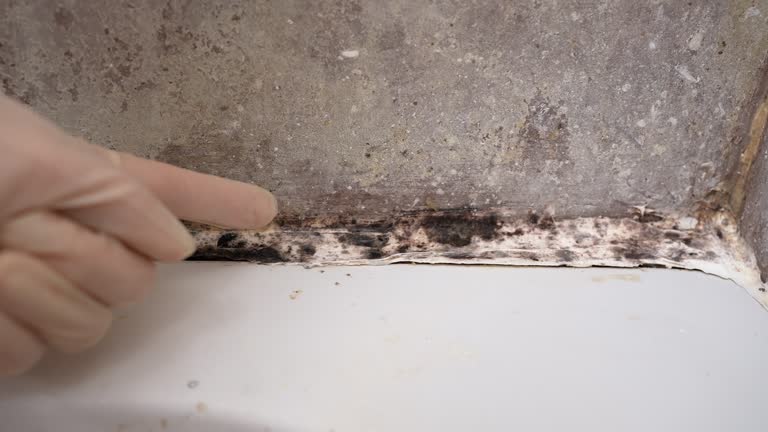 Best Post-Remediation Verification Testing  in Dravosburg, PA